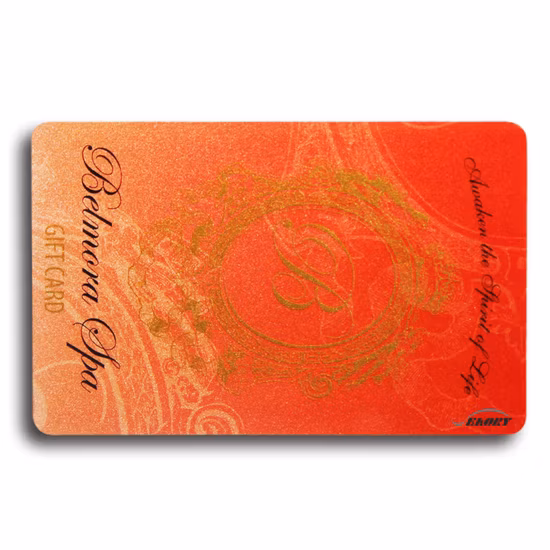 PVCビジネス/ギフト/ホテル/ゲームシステム/遊園地/ペット/プラスチックカード会員証