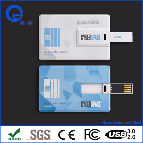 クラシック ビジネス カラー印刷カード、フラッシュ メモリ、USB 2.0 3.0、16 GB